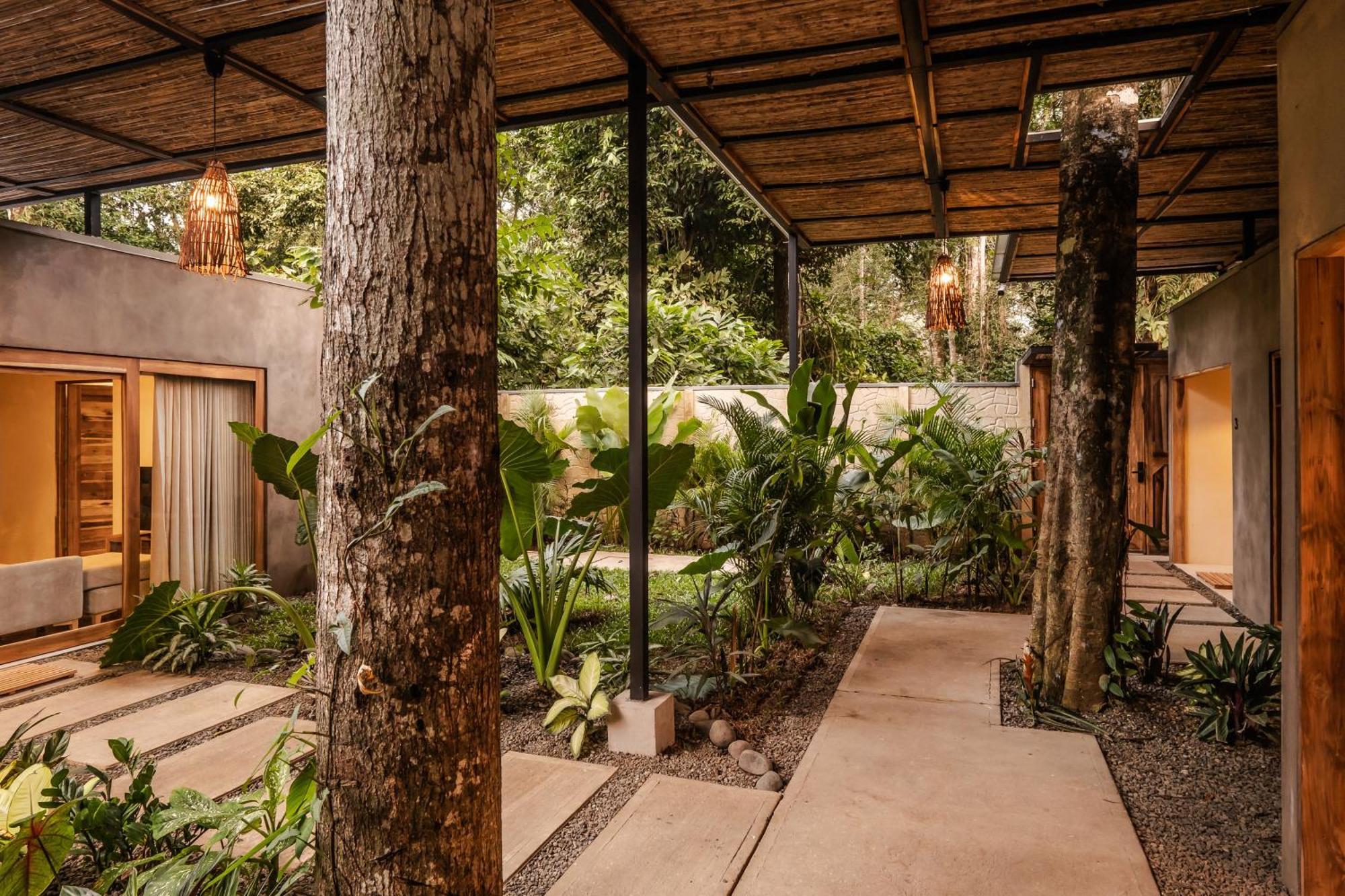 La Bonita Lodge Puerto Viejo de Talamanca Ngoại thất bức ảnh