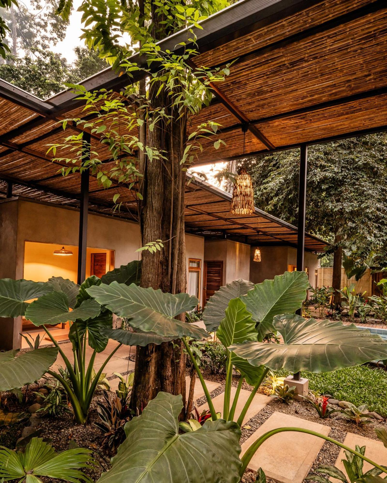 La Bonita Lodge Puerto Viejo de Talamanca Ngoại thất bức ảnh